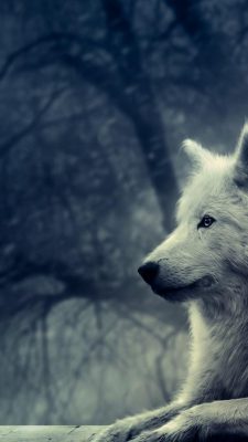 Cool Wolf iPhone 6 Wallpaper HD With high-resolution 1080X1920 pixel. Download all Mobile Wallpapers and Use them as wallpapers for your iPhone, Tablet, iPad, Android and other mobile devices