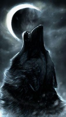 Cool Wolf iPhone X Wallpaper HD With high-resolution 1080X1920 pixel. Download all Mobile Wallpapers and Use them as wallpapers for your iPhone, Tablet, iPad, Android and other mobile devices