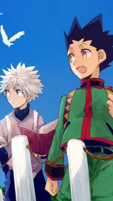 Gon And Killua iPhone 6 Wallpaper HD With high-resolution 1080X1920 pixel. Download all Mobile Wallpapers and Use them as wallpapers for your iPhone, Tablet, iPad, Android and other mobile devices