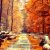 October iPhone 7 Wallpaper HD