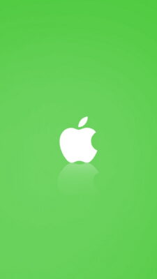 Green i Phones Wallpaper With high-resolution 1080X1920 pixel. Download all Mobile Wallpapers and Use them as wallpapers for your iPhone, Tablet, iPad, Android and other mobile devices