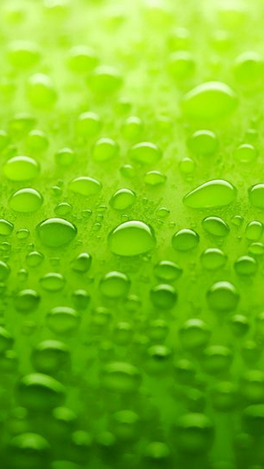 Green iPhone 12 Wallpaper HD with high-resolution 1080x1920 pixel. Download all Mobile Wallpapers and Use them as wallpapers for your iPhone, Tablet, iPad, Android and other mobile devices