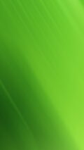 Green iPhone X Wallpaper HD
