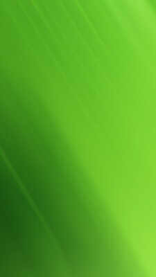 Green iPhone X Wallpaper HD With high-resolution 1080X1920 pixel. Download all Mobile Wallpapers and Use them as wallpapers for your iPhone, Tablet, iPad, Android and other mobile devices